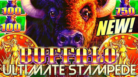 Buffalo Stampede Slot .